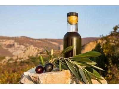 Оливковое масло холодного отжима - польза от его употребления
